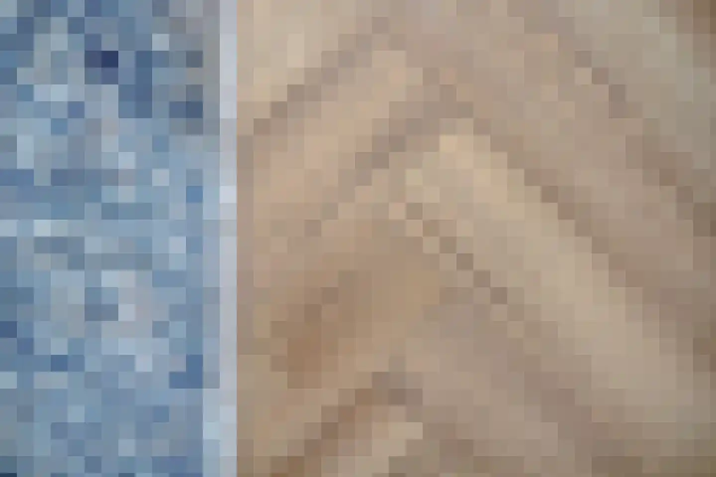 Meeuwenlaan 3 Nieuwerkerk thumbnail 41