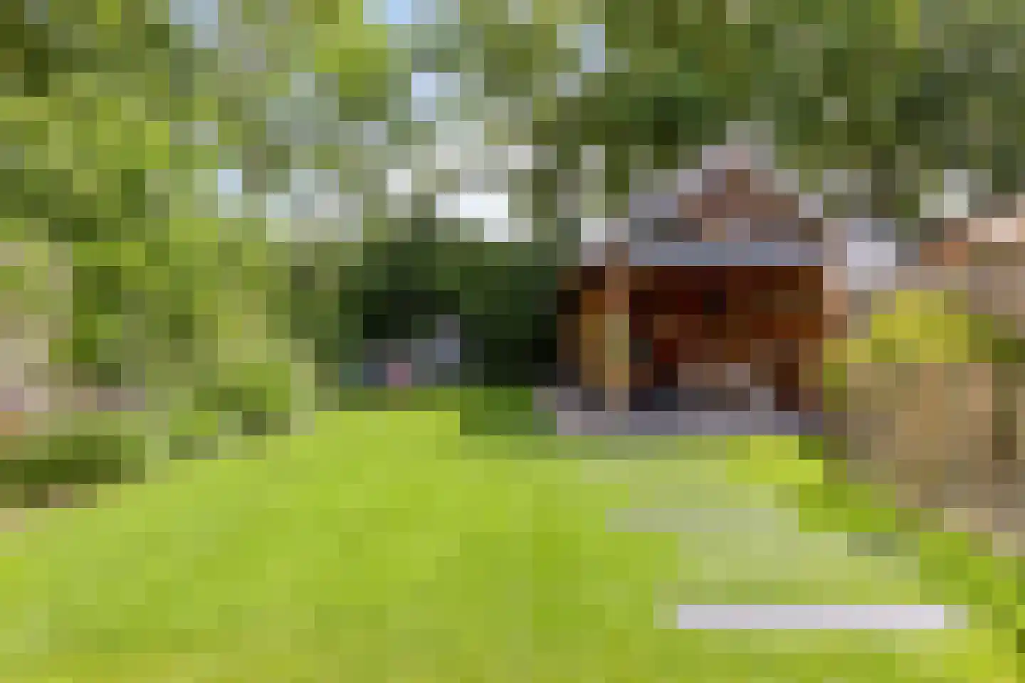 Meeuwenlaan 3 Nieuwerkerk thumbnail 43