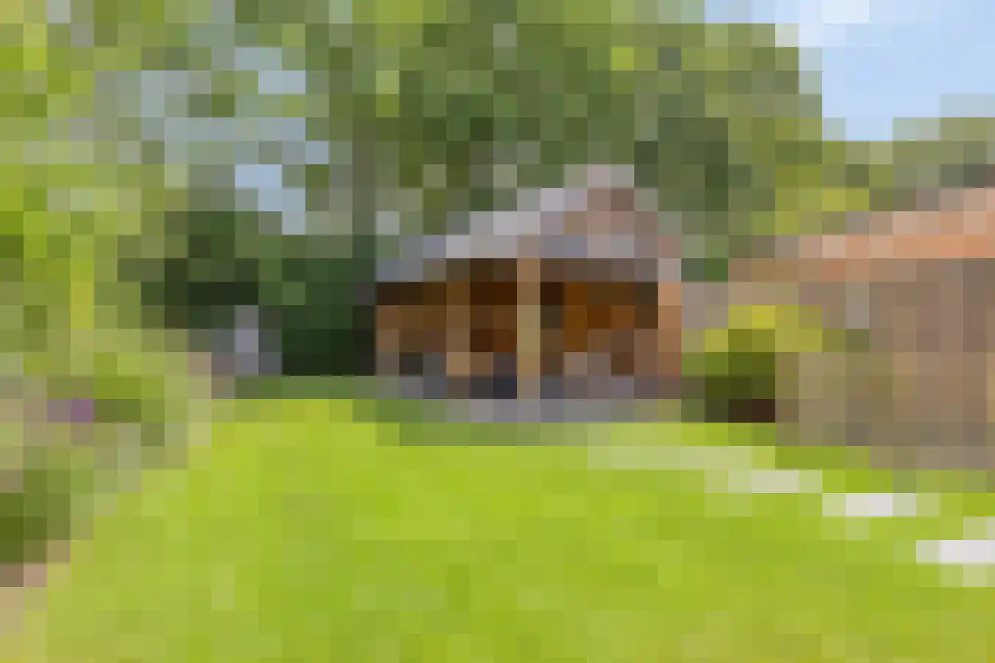 Meeuwenlaan 3 Nieuwerkerk thumbnail 44