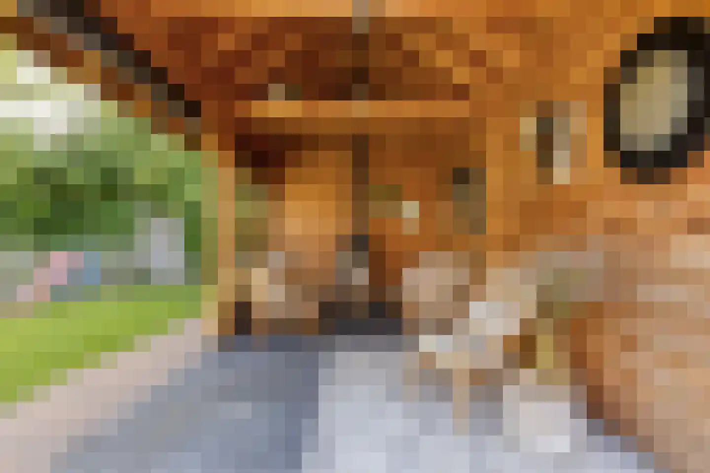 Meeuwenlaan 3 Nieuwerkerk thumbnail 45