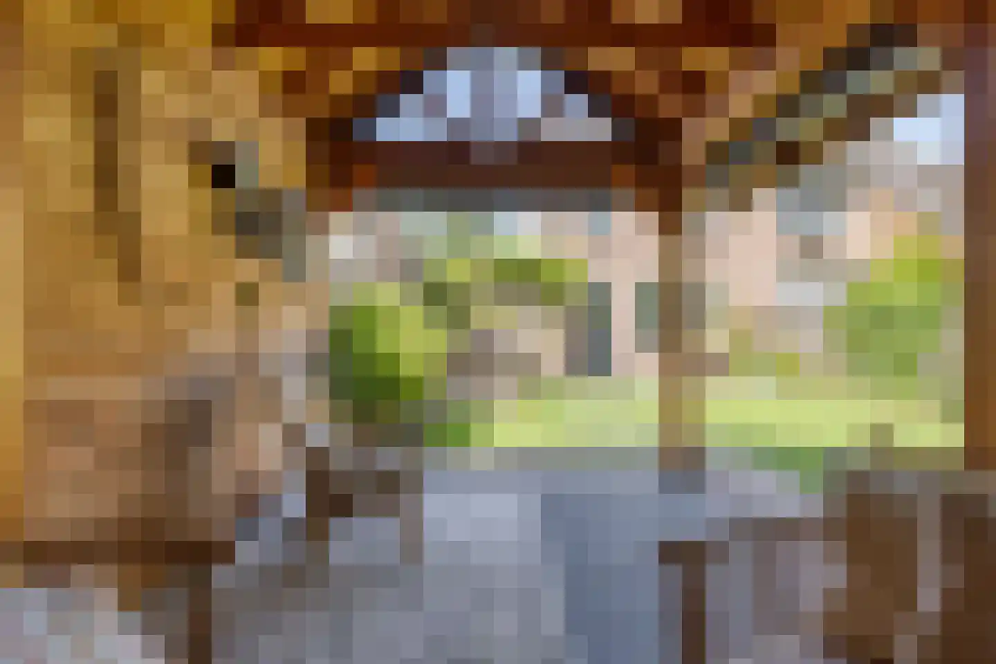 Meeuwenlaan 3 Nieuwerkerk thumbnail 47