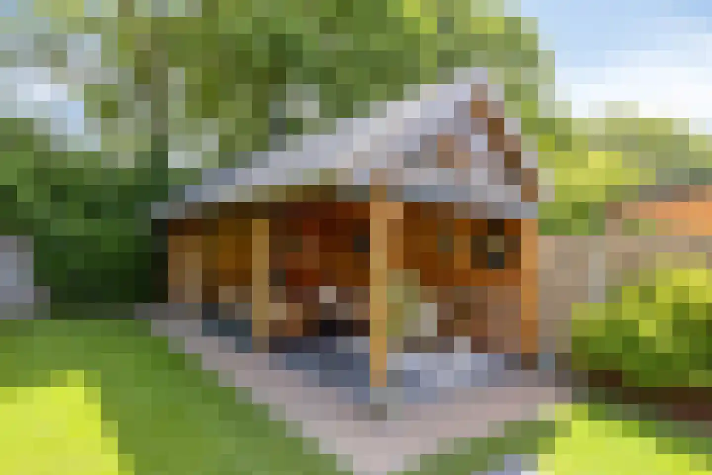 Meeuwenlaan 3 Nieuwerkerk thumbnail 53