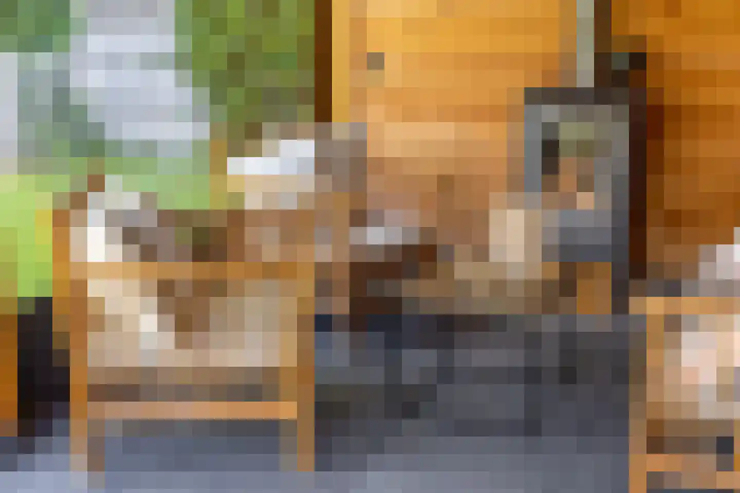 Meeuwenlaan 3 Nieuwerkerk thumbnail 55