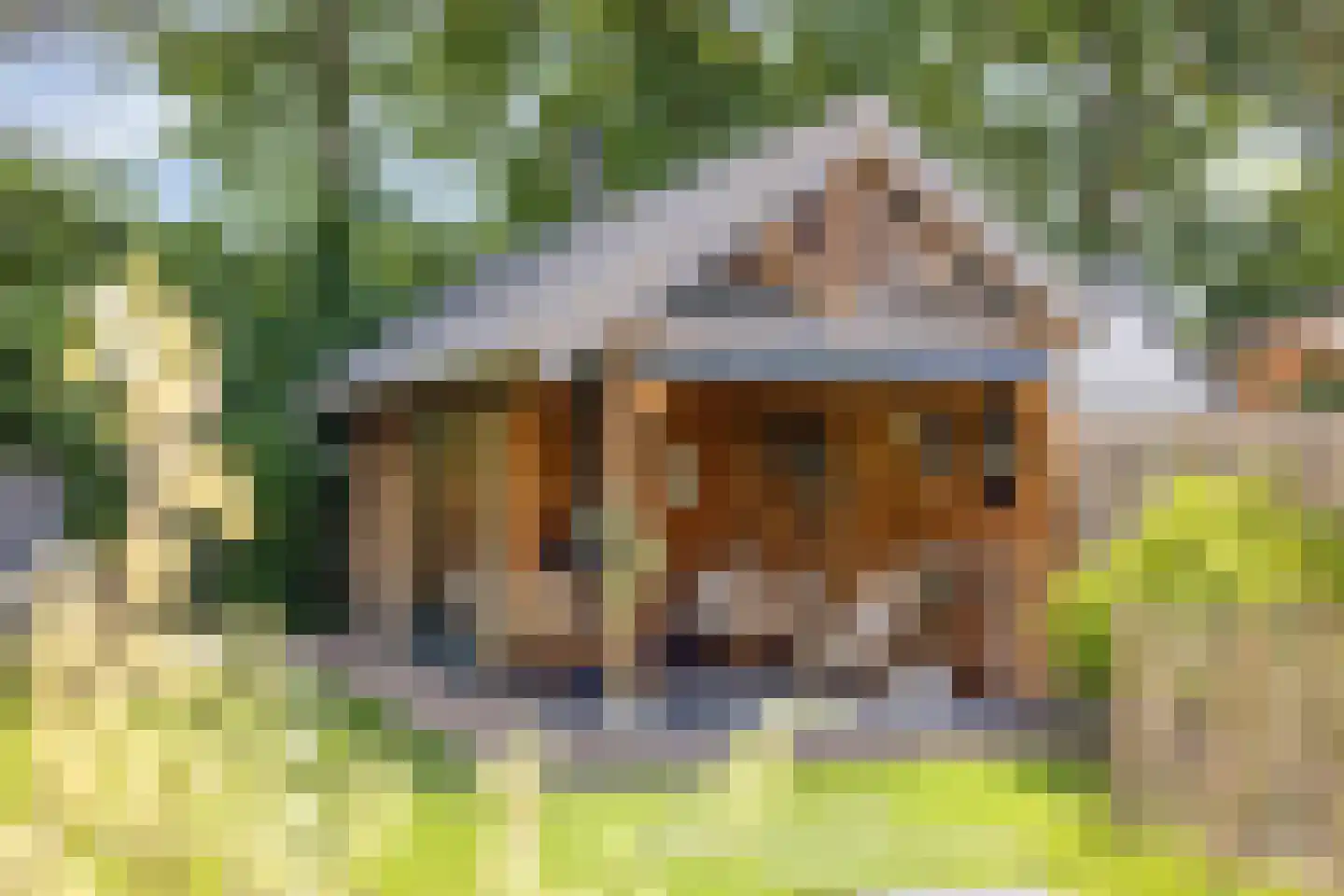 Meeuwenlaan 3 Nieuwerkerk thumbnail 56