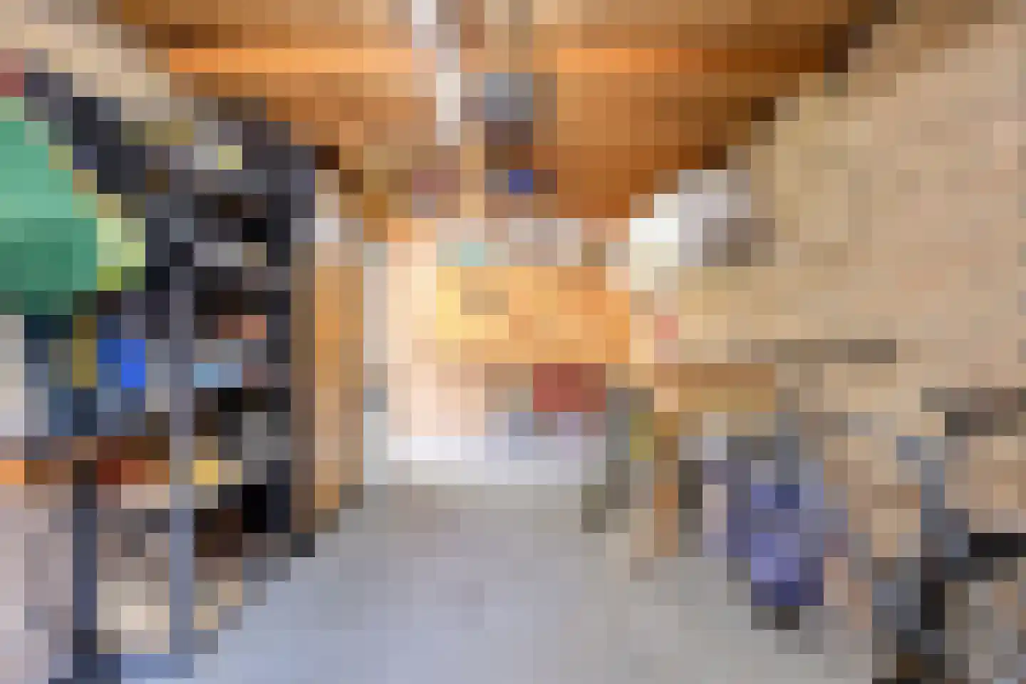 Meeuwenlaan 3 Nieuwerkerk thumbnail 57
