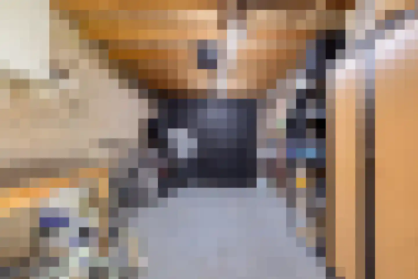 Meeuwenlaan 3 Nieuwerkerk thumbnail 58