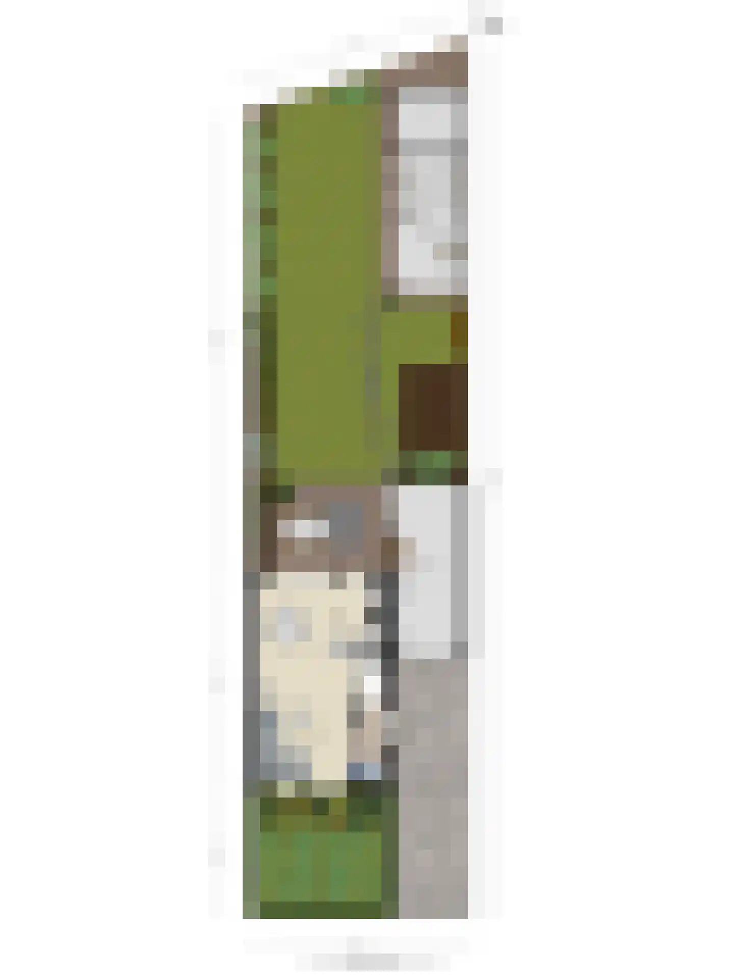 Meeuwenlaan 3 Nieuwerkerk thumbnail 62