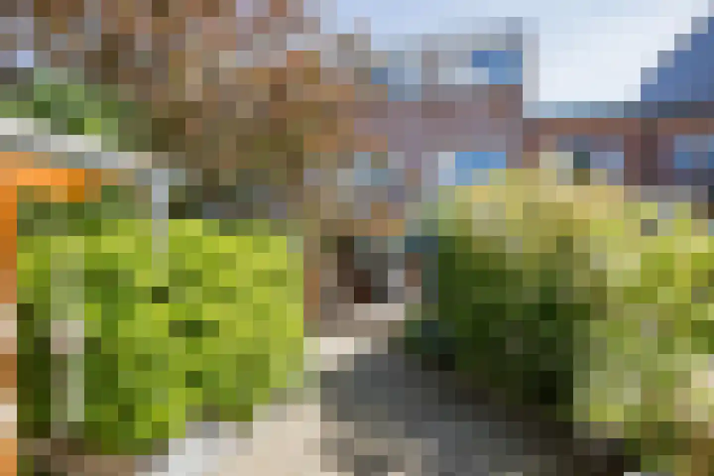 Meeuwenlaan 36 IJmuiden thumbnail 16