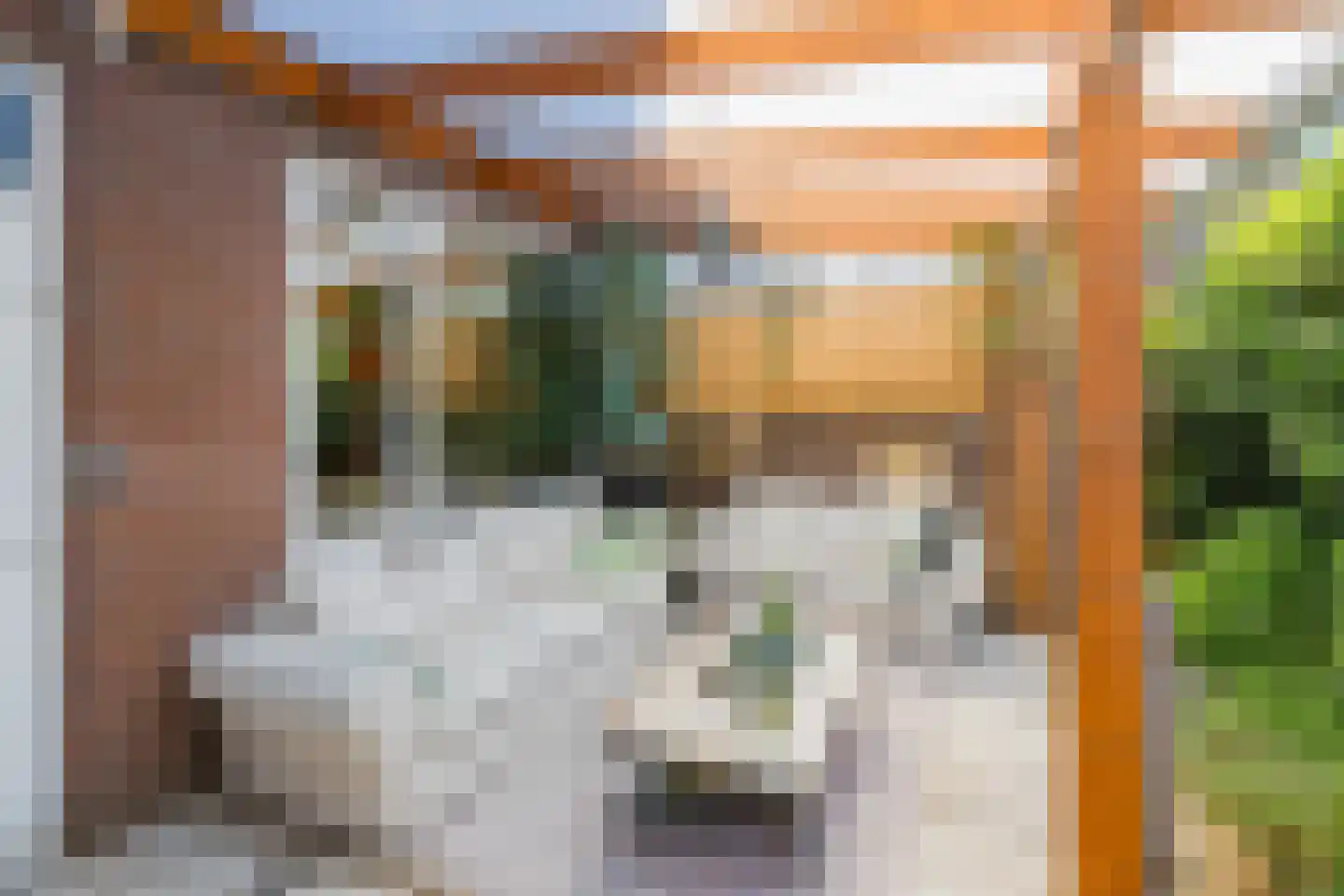 Meeuwenlaan 36 IJmuiden thumbnail 23