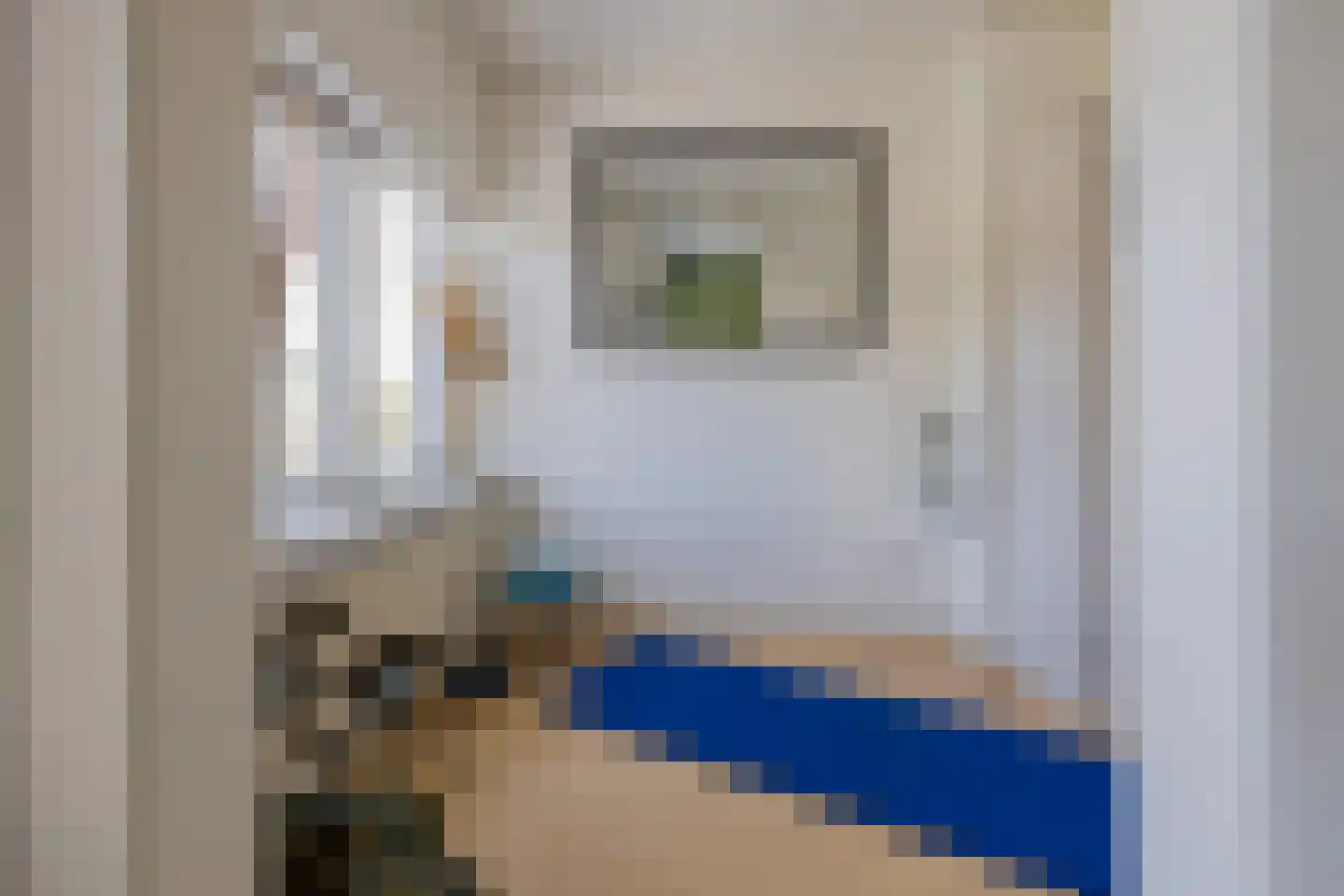 Meeuwenlaan 36 IJmuiden thumbnail 31