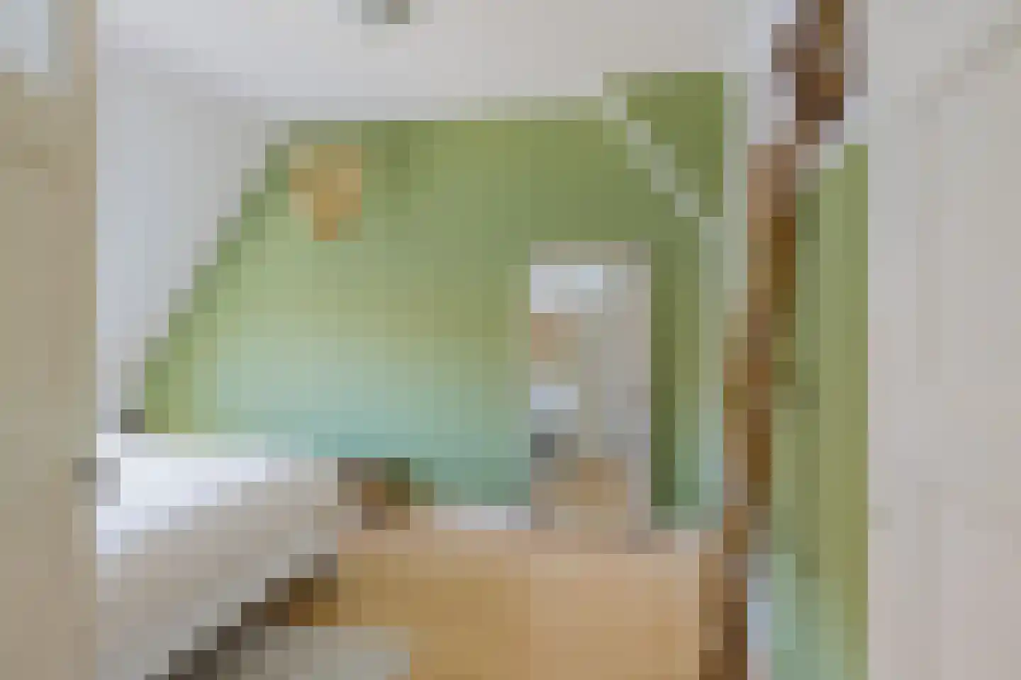 Meeuwenlaan 36 IJmuiden thumbnail 37