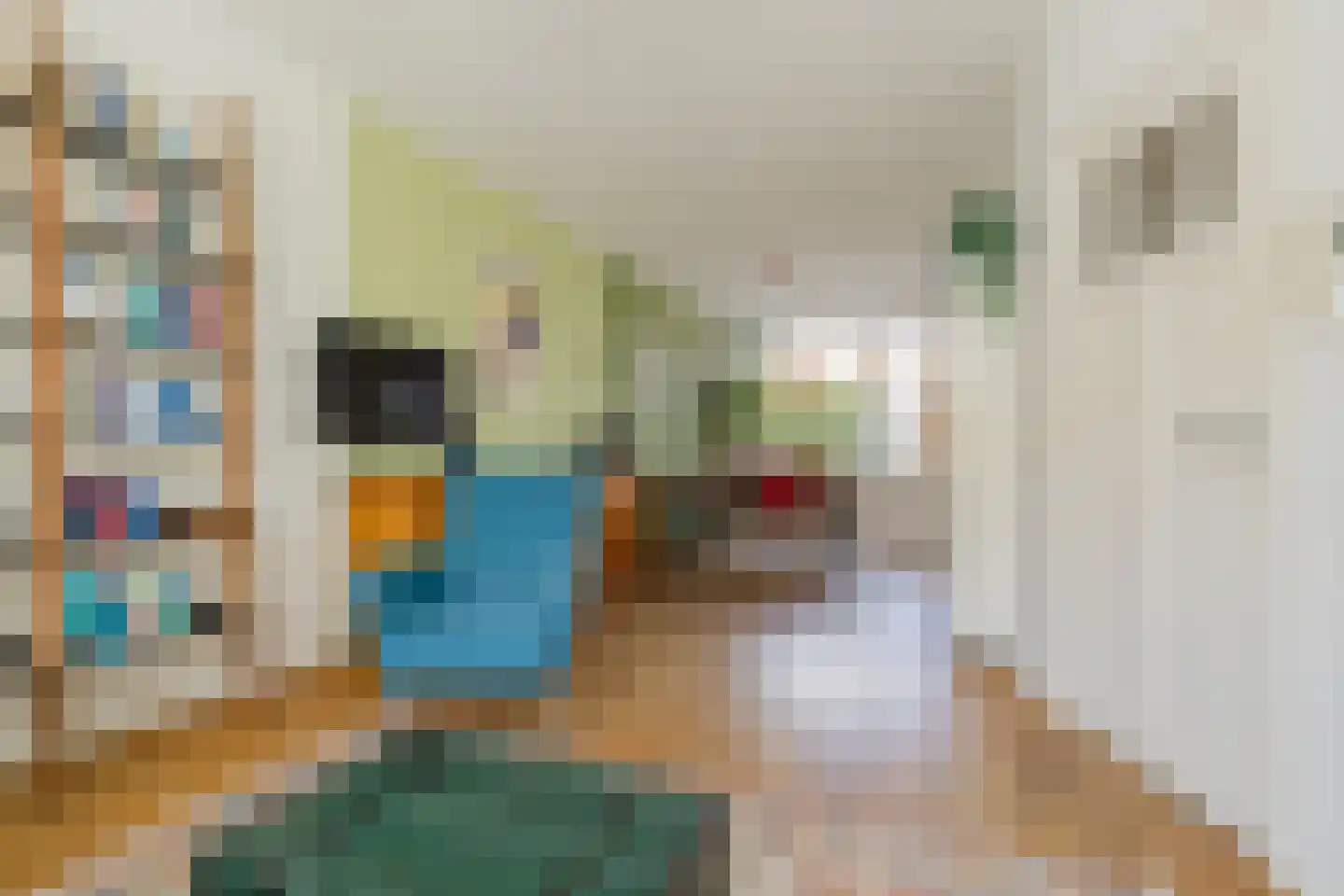 Meeuwenlaan 36 IJmuiden thumbnail 7