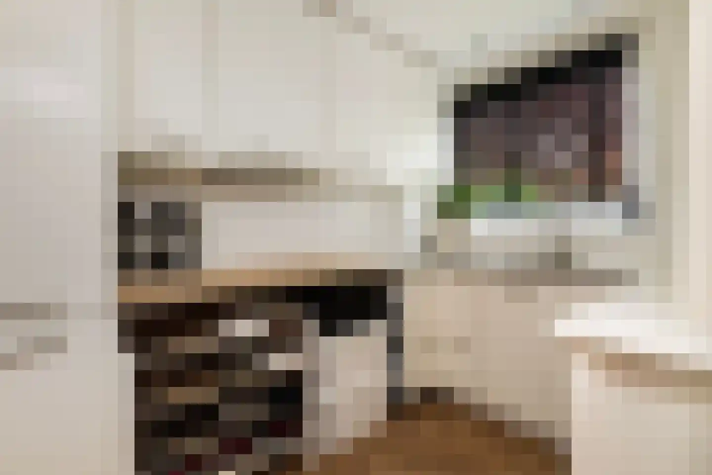 Meeuwenlaan 38 Rotterdam thumbnail 13