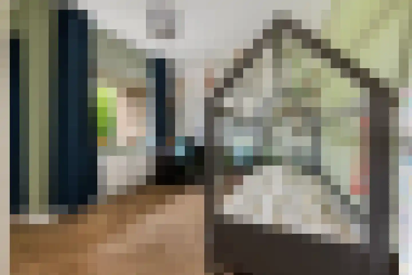 Meeuwenlaan 38 Rotterdam thumbnail 14