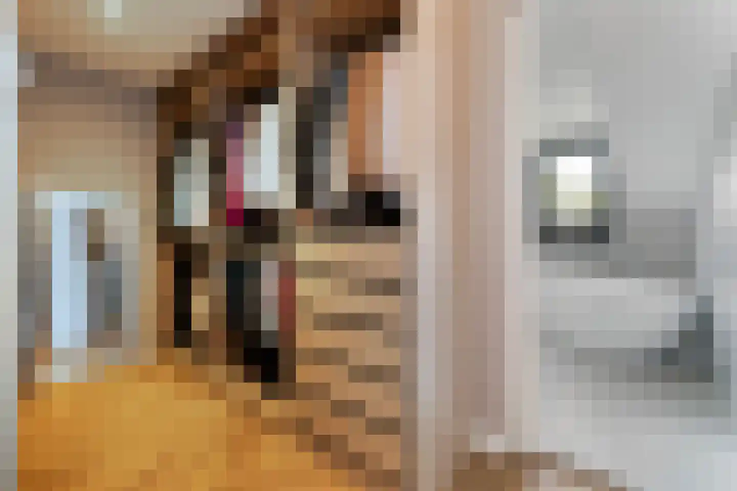 Meeuwenlaan 38 Rotterdam thumbnail 19