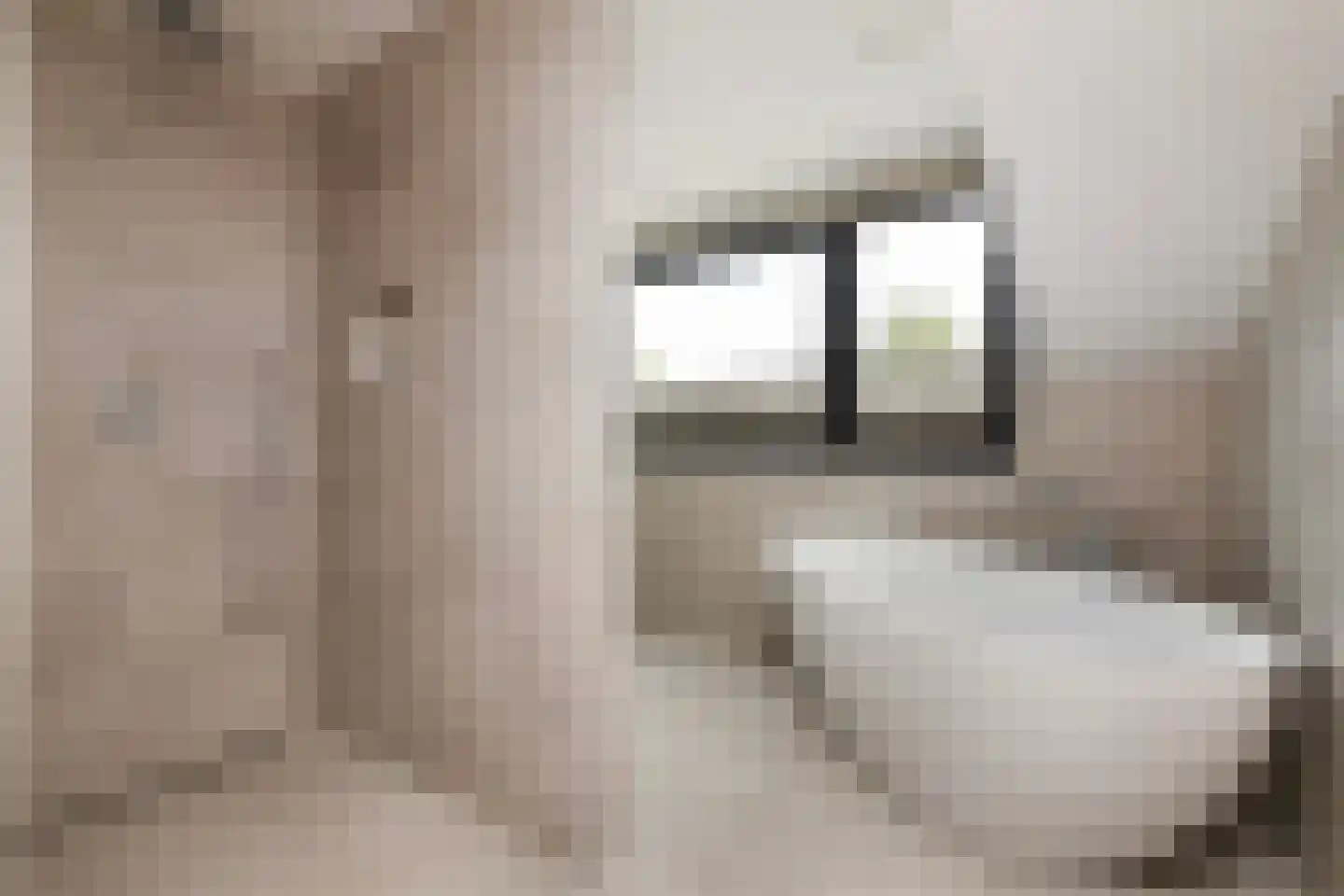 Meeuwenlaan 38 Rotterdam thumbnail 20