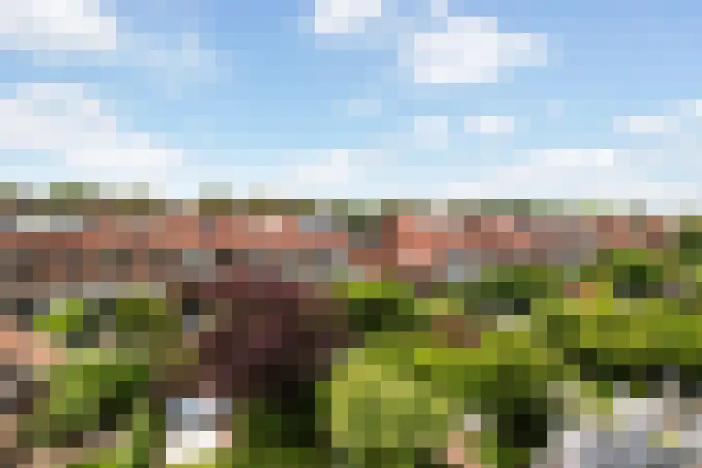 Meeuwenlaan 38 Rotterdam thumbnail 22
