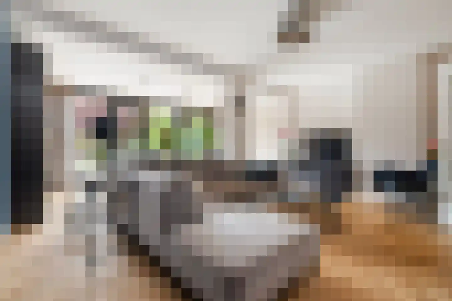 Meeuwenlaan 38 Rotterdam thumbnail 9