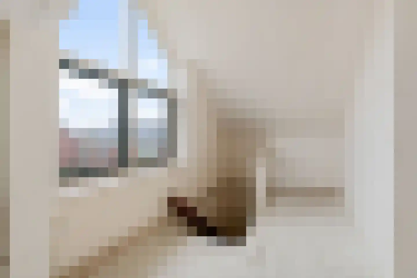 Meeuwenlaan 38 Sint Pancras thumbnail 21