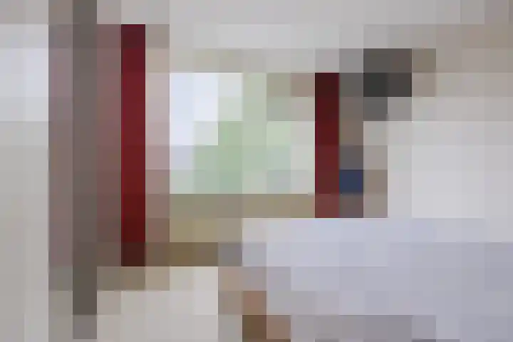 Meeuwenlaan 39 Bergschenhoek thumbnail 12