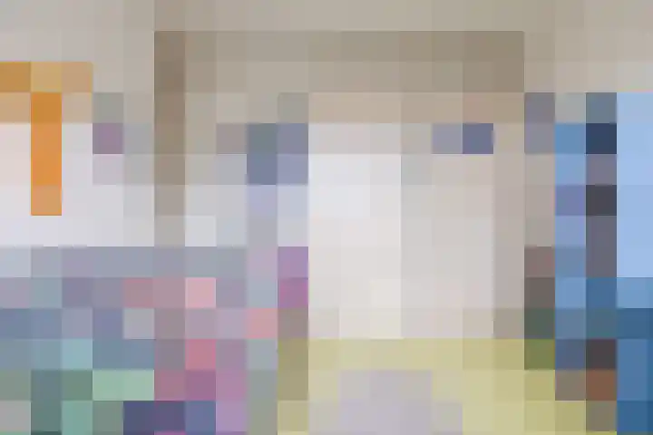 Meeuwenlaan 39 Bergschenhoek thumbnail 15