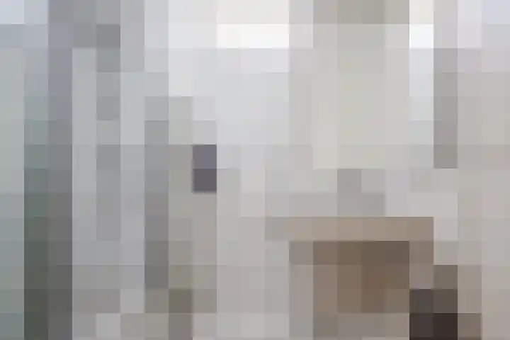 Meeuwenlaan 39 Bergschenhoek thumbnail 18