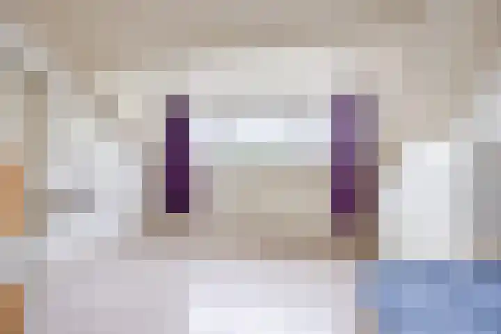 Meeuwenlaan 39 Bergschenhoek thumbnail 21
