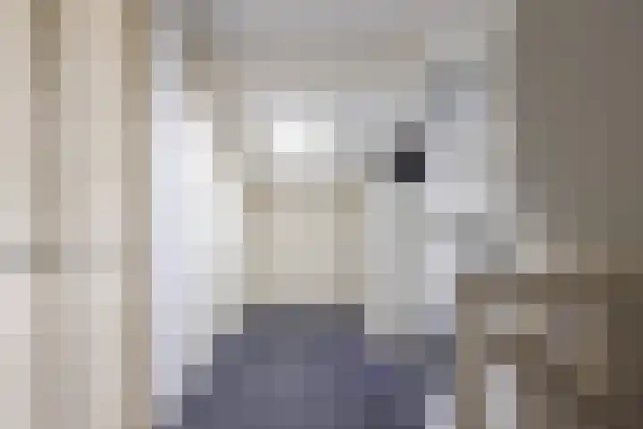 Meeuwenlaan 39 Bergschenhoek thumbnail 23