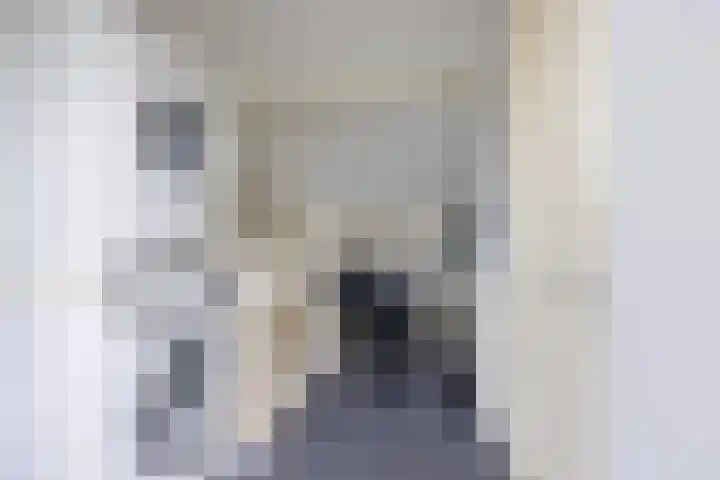 Meeuwenlaan 39 Bergschenhoek thumbnail 24