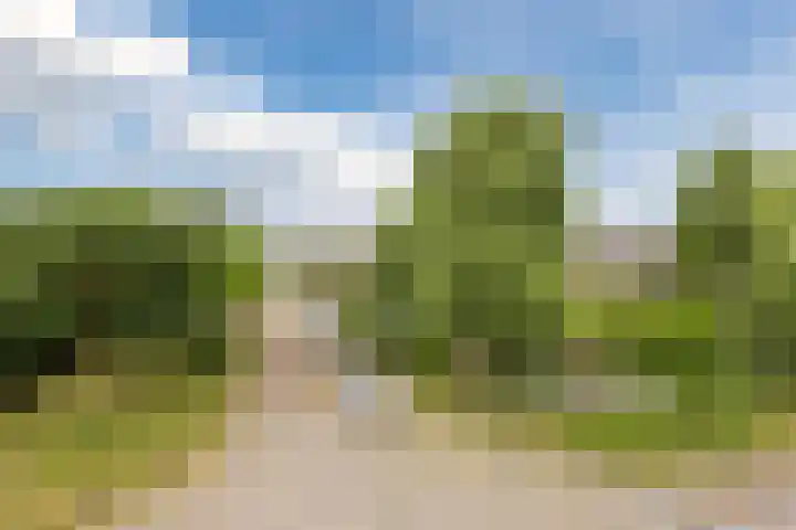 Meeuwenlaan 39 Bergschenhoek thumbnail 25