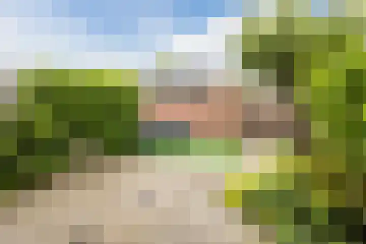 Meeuwenlaan 39 Bergschenhoek thumbnail 26