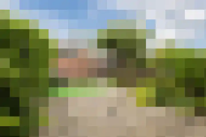 Meeuwenlaan 39 Bergschenhoek thumbnail 27