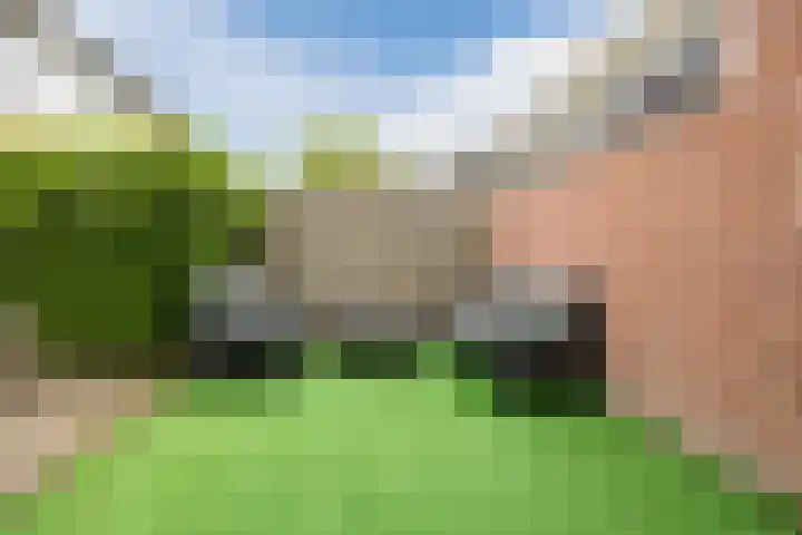 Meeuwenlaan 39 Bergschenhoek thumbnail 28