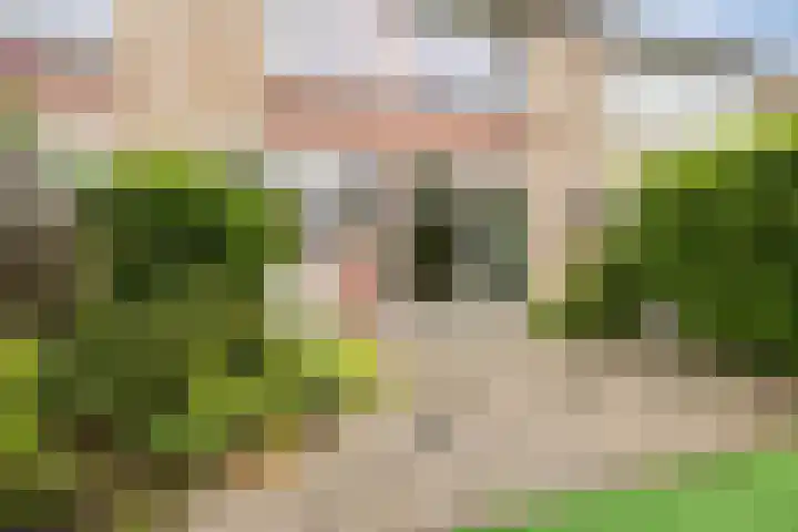 Meeuwenlaan 39 Bergschenhoek thumbnail 29