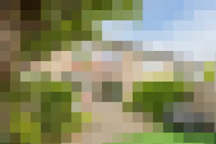 Meeuwenlaan 39 Bergschenhoek thumbnail 30