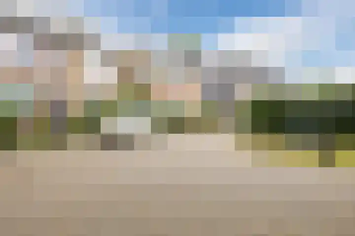 Meeuwenlaan 39 Bergschenhoek thumbnail 34