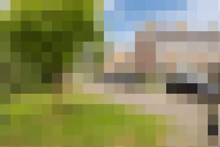 Meeuwenlaan 39 Bergschenhoek thumbnail 35