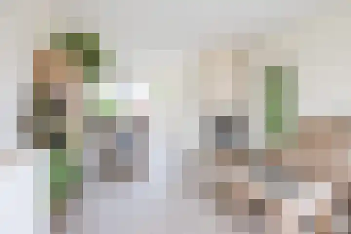 Meeuwenlaan 39 Bergschenhoek thumbnail 4