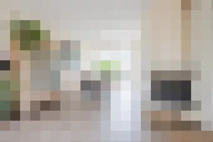 Meeuwenlaan 39 Bergschenhoek thumbnail 5