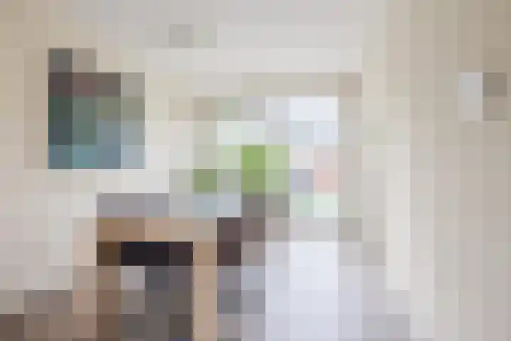 Meeuwenlaan 39 Bergschenhoek thumbnail 6