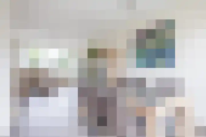 Meeuwenlaan 39 Bergschenhoek thumbnail 7