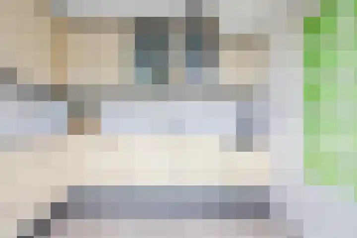 Meeuwenlaan 39 Bergschenhoek thumbnail 8
