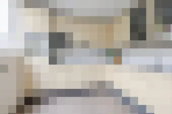Meeuwenlaan 39 Bergschenhoek thumbnail 9