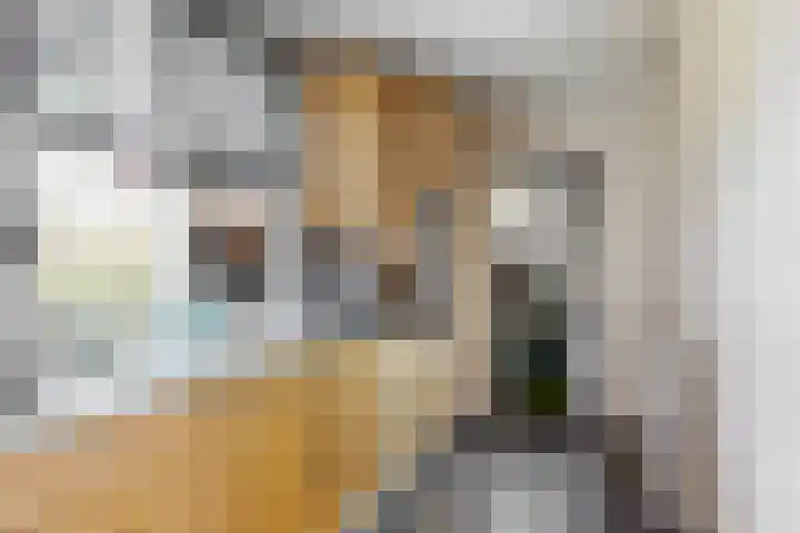 Meeuwenlaan 4 Woerden thumbnail 12