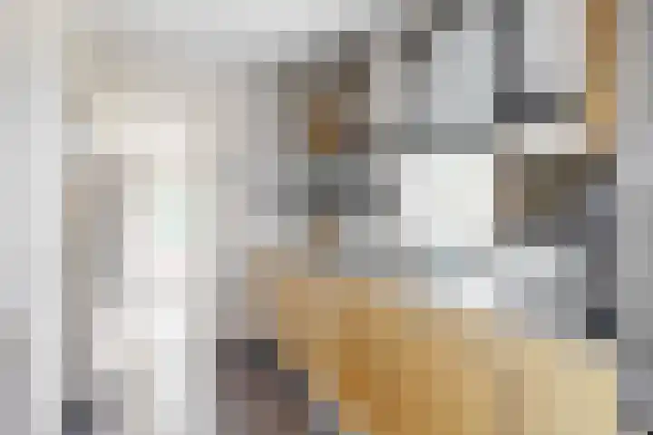 Meeuwenlaan 4 Woerden thumbnail 13