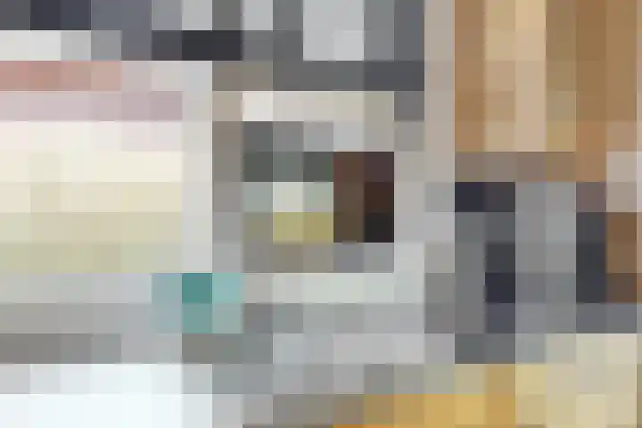 Meeuwenlaan 4 Woerden thumbnail 14