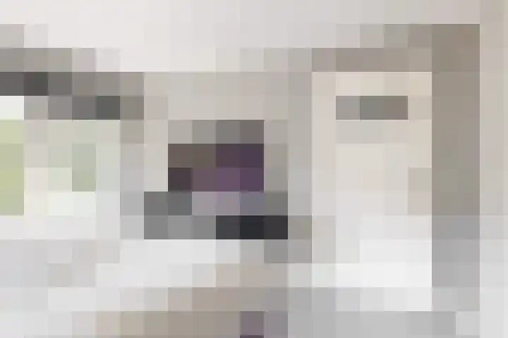 Meeuwenlaan 4 Woerden thumbnail 18
