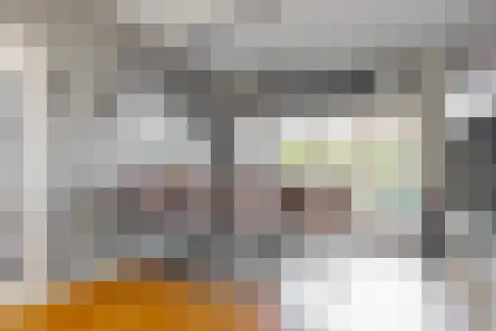 Meeuwenlaan 4 Woerden foto 2