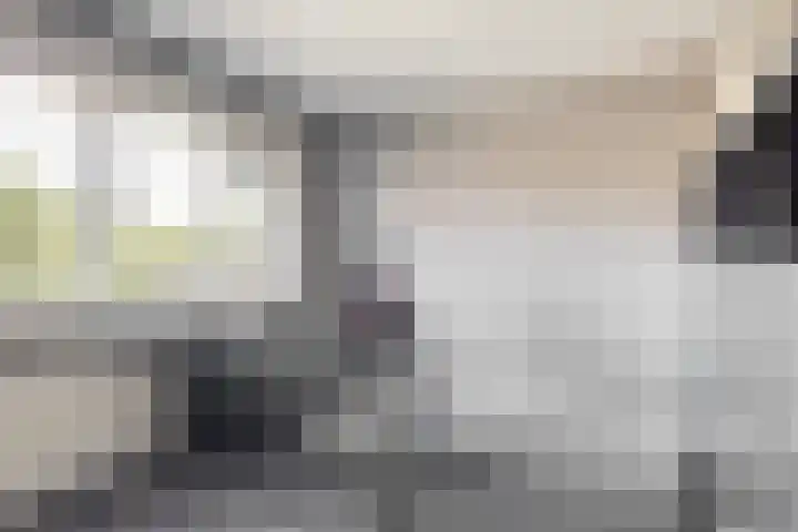Meeuwenlaan 4 Woerden thumbnail 20