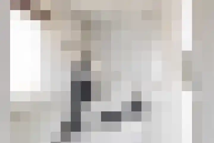 Meeuwenlaan 4 Woerden thumbnail 22